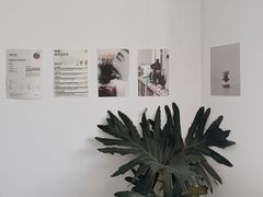 -纽巷咖啡 SOFTFOCUS COFFEE(锦和巴黎时韵店)
