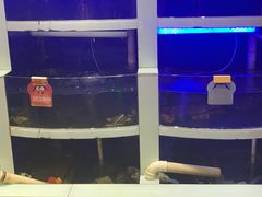 -七欣天香辣蟹火锅(无锡金太湖国际城店)