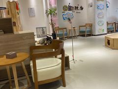 大堂-藏猫猫咖啡主题馆(中央大道店)