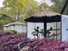 -上海野生动物园