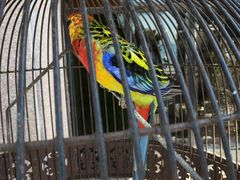 -老味道民宿(栈桥店)