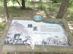 -秦皇岛野生动物园