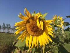 iphone_upload_pic-漩门湾国家湿地公园