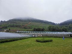 -普迪生态园