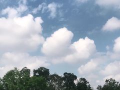 -秀丽东方