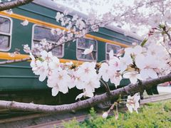 -新天地活力PARK