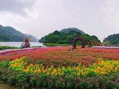-广州市石门国家森林公园