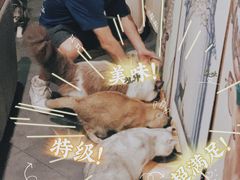 -咖法森林·咖啡  酒吧(天河店)