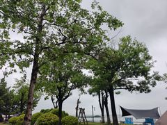 -悦海公园