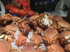 -加餐海鲜自助(宝龙一城店)
