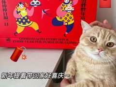 -王家墩东(地铁站)