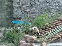 -黔灵山公园-南门售票处