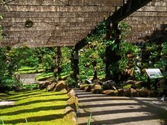 -深圳仙湖植物园