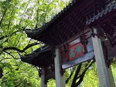 -汇龙潭
