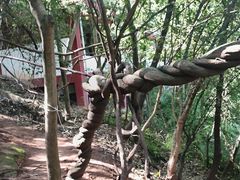 -成都老君山