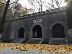 -镇江市南山风景名胜区竹林景区