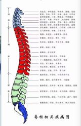 -卡莫瑜伽·普拉提