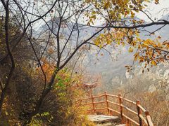 -黑龙潭风景区