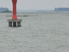 -滕州微山湖红荷湿地景区