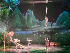 -重庆国际马戏城