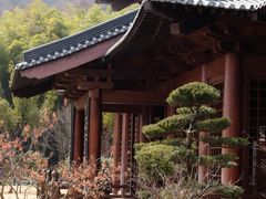 -兰亭风景区