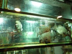 -叙亨轩海鲜火锅