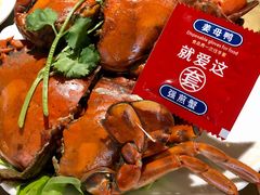 -鑫阿强海鲜大排档·老厦门特色菜(中山路店)