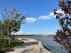 -天津东丽湖风景区