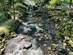 -广州市石门国家森林公园