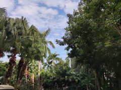 -碧桂园十里银滩