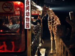 -清迈夜间动物园