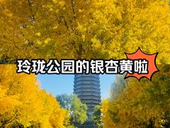 -玲珑塔公园