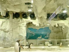 -华夏文旅海洋公园