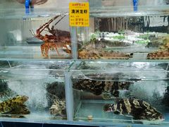 -将相和·海鲜蒸饺大连菜