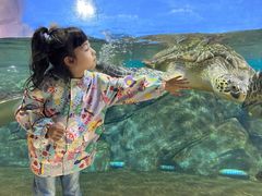 -福州罗源湾海洋世界旅游区