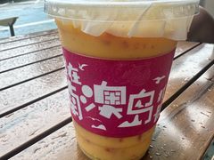 -南澳岛打卡果汁冰公司