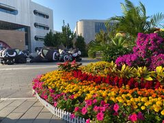 -回龙观体育文化公园