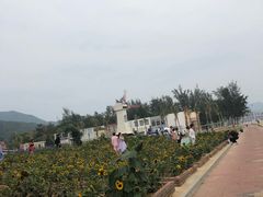 -玫瑰海岸文化旅游度假区