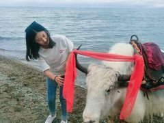 -青海湖国家重点风景名胜区