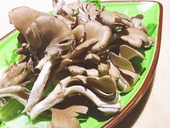 舞茸-一叶一世界•素食餐厅(环球中心店)
