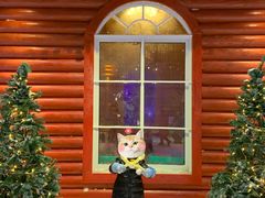 -宁波冰雪大世界(北仑区)