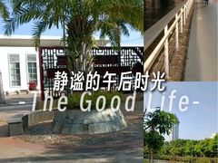 -万绿园