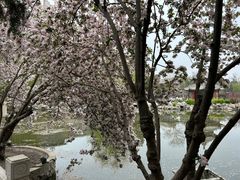 -莲池书院博物馆