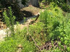 -将军关探险漂流