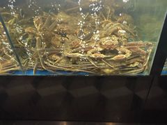 -蟹之国·精品蟹料理(极地店)