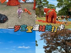 -上海月湖雕塑公园