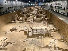 -洛阳周王城天子驾六博物馆