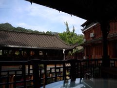-龙翔山庄雷鸡肉(青城后山泰安古镇店)