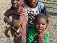 -协和双语学校(虹桥校区)