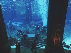 -亚特兰蒂斯•OSSIANO奥西亚诺海底餐厅
